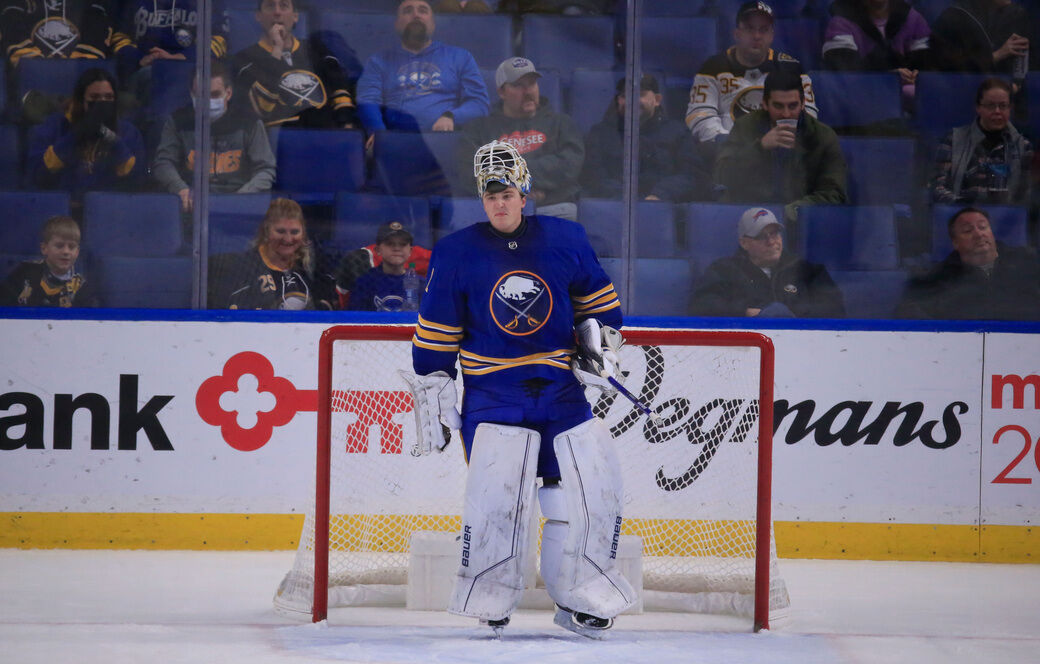 Sabres Sharks